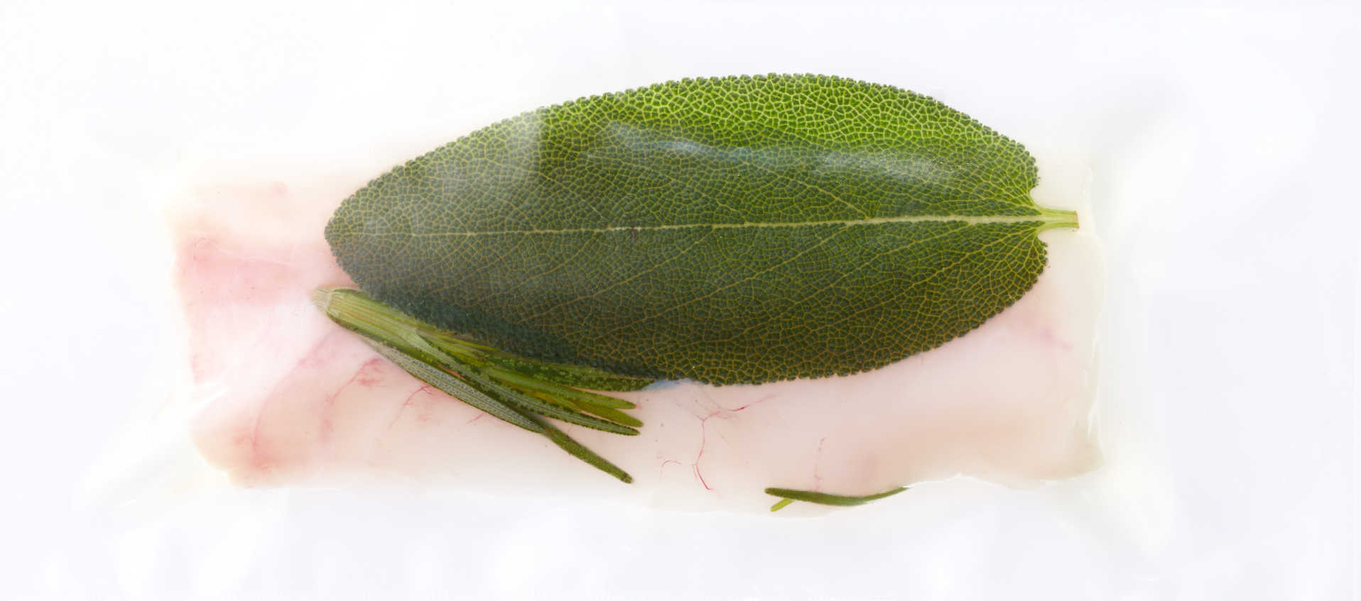 Sous-Vide gekochter Fisch im Kochbeutel
