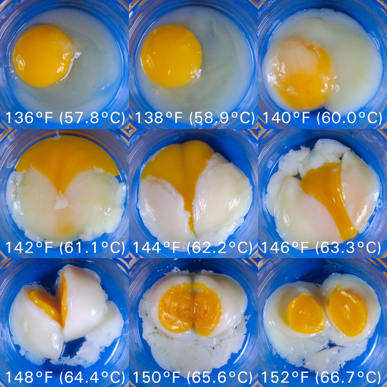 oeuf cuit sous vide à basse température comparatif résultats à différentes températures - Sous Vide Consulting